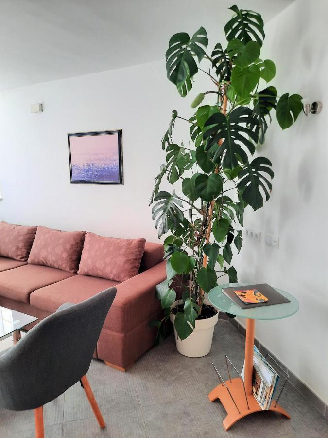 Apartment Mato Barbariga Kültér fotó